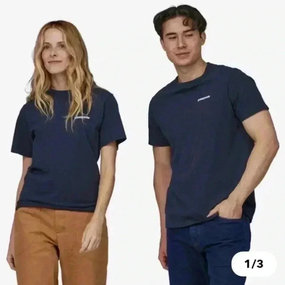 Patagonia Fitz Roy Icon Responsibili-Tee - Picture 3 of 4